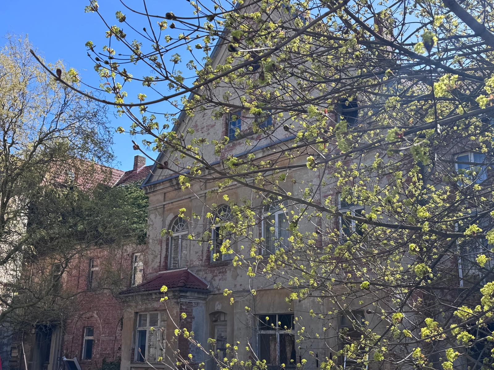 Gutshaus der Curia Paschleben im Frühling